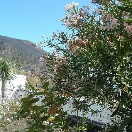 Casa Vinedos B