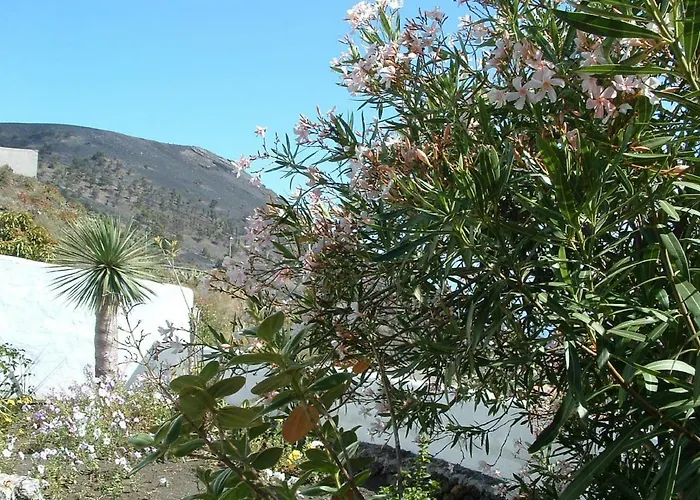 Casa Vinedos B